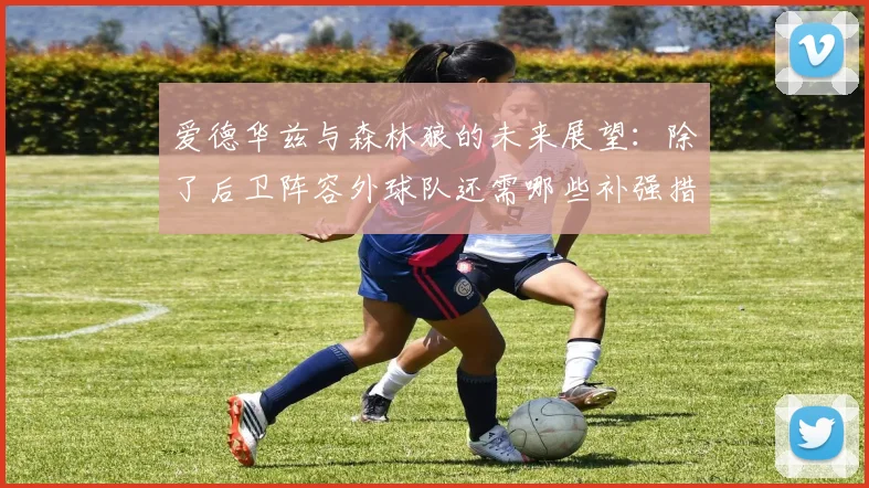 爱德华兹与森林狼的未来展望：除了后卫阵容外球队还需哪些补强措施