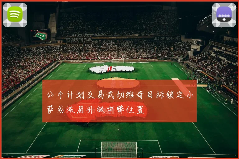 公牛计划交易武切维奇目标锁定小萨或浓眉升级中锋位置