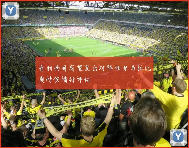 普利西奇有望复出对阵帕尔马拉比奥特伤情待评估