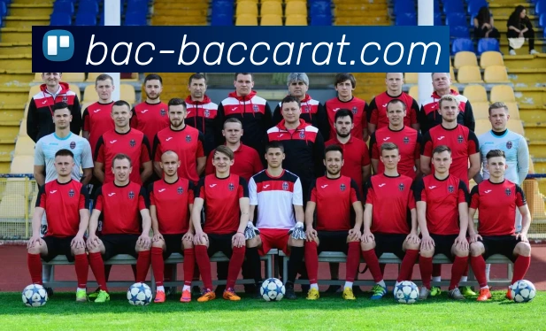 百家乐网站服务体系