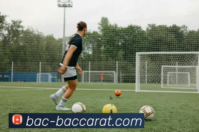 百家乐网站APP 体育赛事宣传图