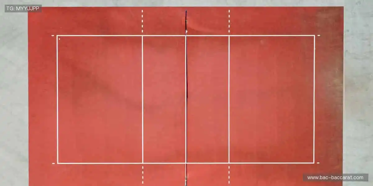 锁定赛事，解锁精彩，你的主场永不落幕！🎉